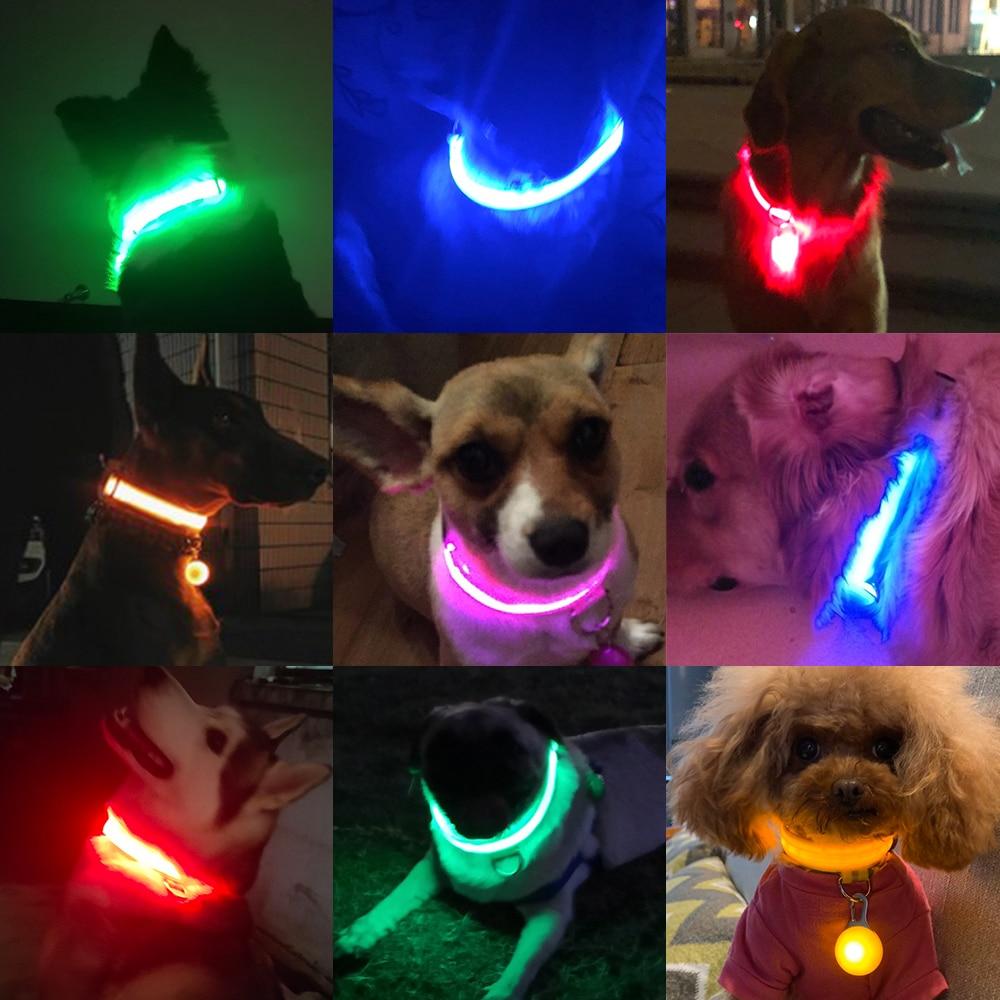 LedCollar™ - Collier à LED rechargeable pour chien - Lucky Mania